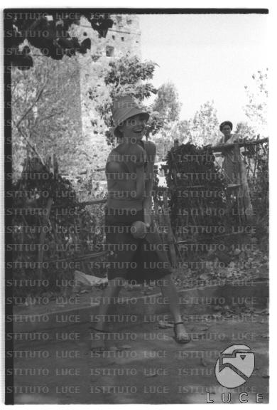 FV/NTH00681/FV00148412.JPG