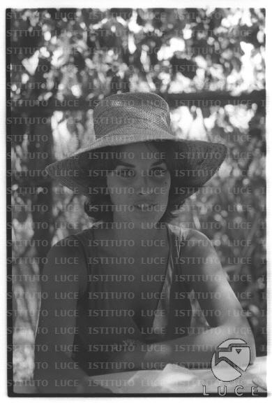 FV/NTH00681/FV00148424.JPG