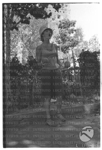 FV/NTH00681/FV00148432.JPG