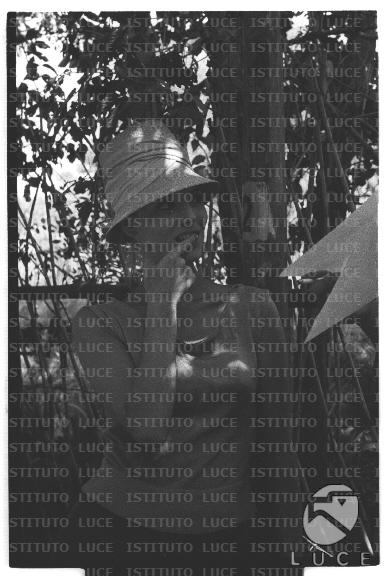 FV/NTH00681/FV00148470.JPG