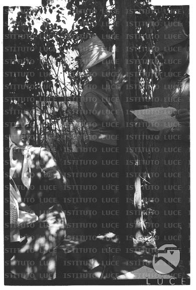 FV/NTH00681/FV00148471.JPG