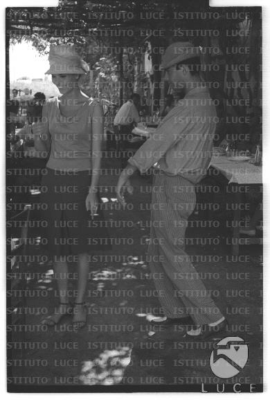 FV/NTH00681/FV00148485.JPG