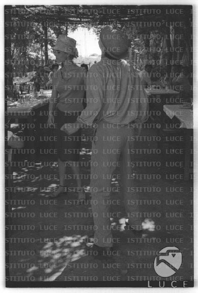 FV/NTH00681/FV00148501.JPG