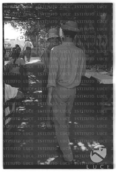FV/NTH00681/FV00148505.JPG