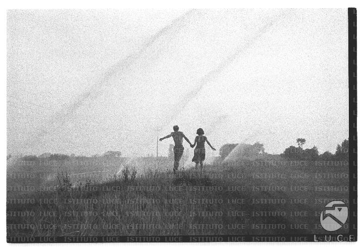FV/NTH00681/FV00148543.JPG
