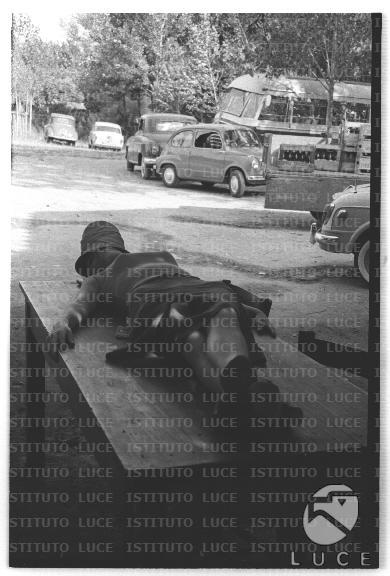FV/NTH00681/FV00148577.JPG