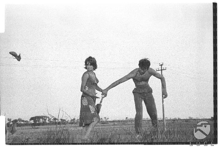 FV/NTH00681/FV00148608.JPG