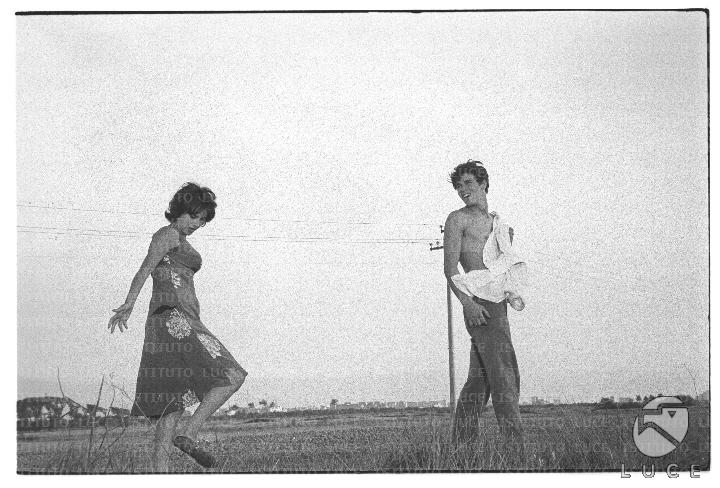 FV/NTH00682/FV00148611.JPG