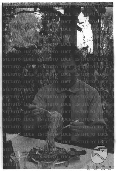 FV/NTH00682/FV00148613.JPG