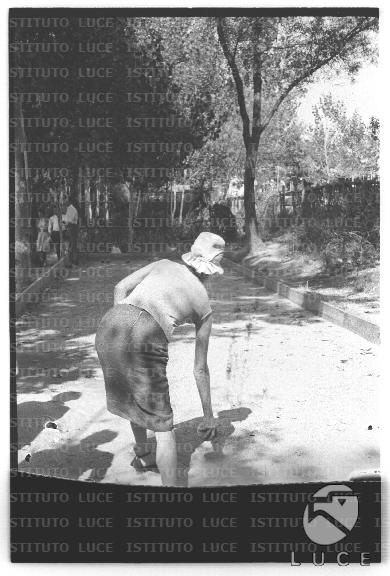 FV/NTH00682/FV00148629.JPG