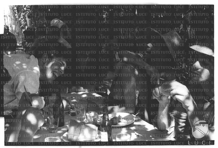 FV/NTH00682/FV00148734.JPG