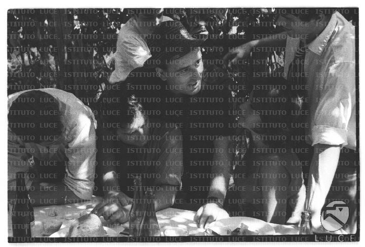 FV/NTH00682/FV00148738.JPG