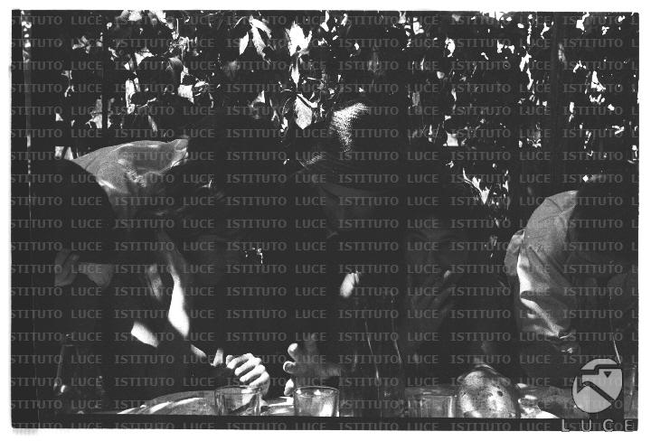 FV/NTH00682/FV00148754.JPG