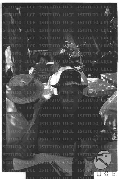 FV/NTH00682/FV00148806.JPG