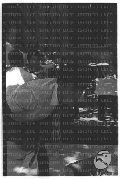FV/NTH00682/FV00148810.JPG