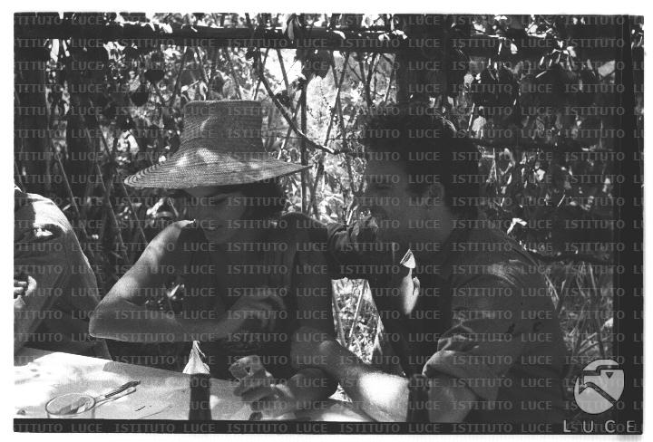 FV/NTH00682/FV00148813.JPG