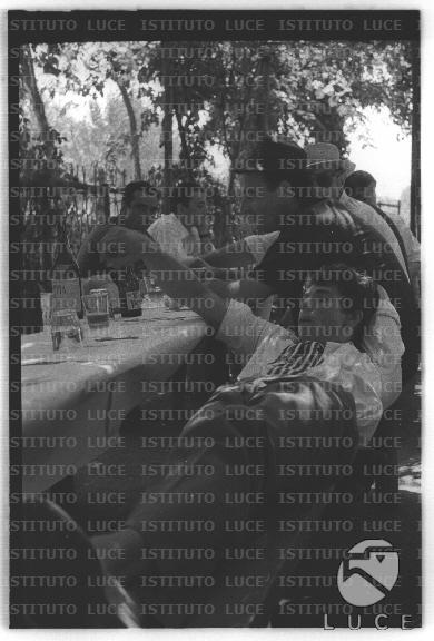 FV/NTH00682/FV00148814.JPG