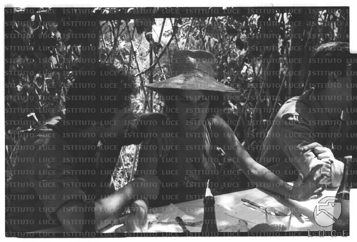 FV/NTH00682/FV00148815.JPG