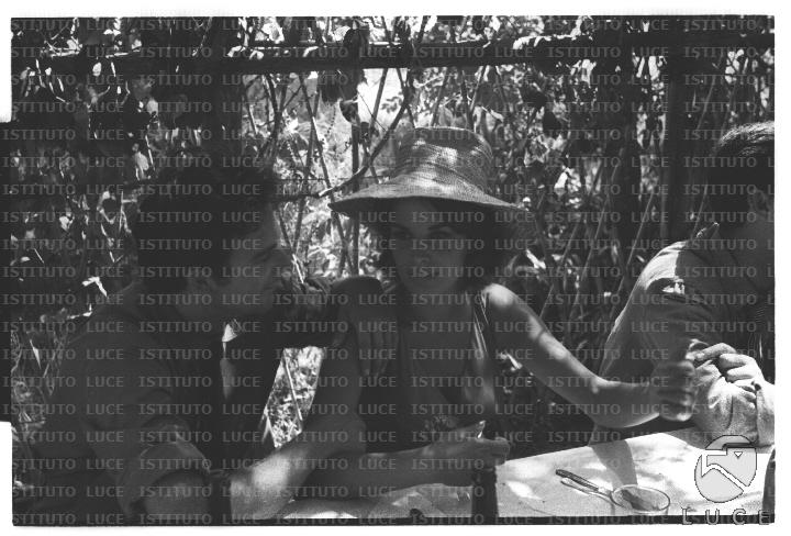 FV/NTH00682/FV00148816.JPG