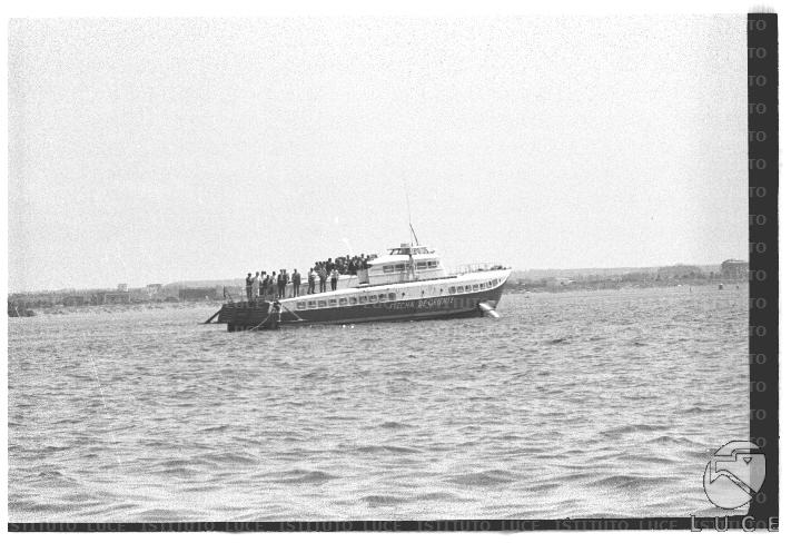 FV/NTH00684/FV00149152.JPG