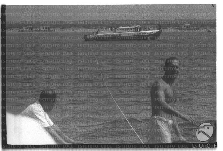FV/NTH00684/FV00149216.JPG