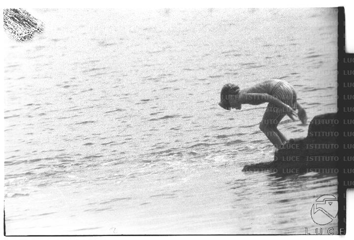 FV/NTH00686/FV00149463.JPG