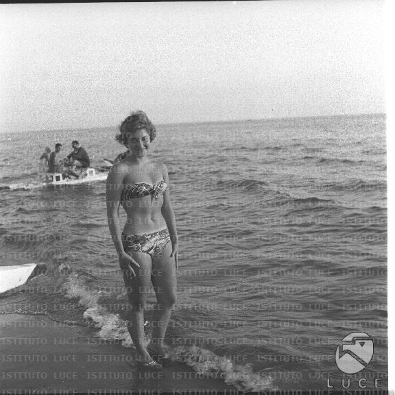 FV/NTH00700/FV00152478.JPG