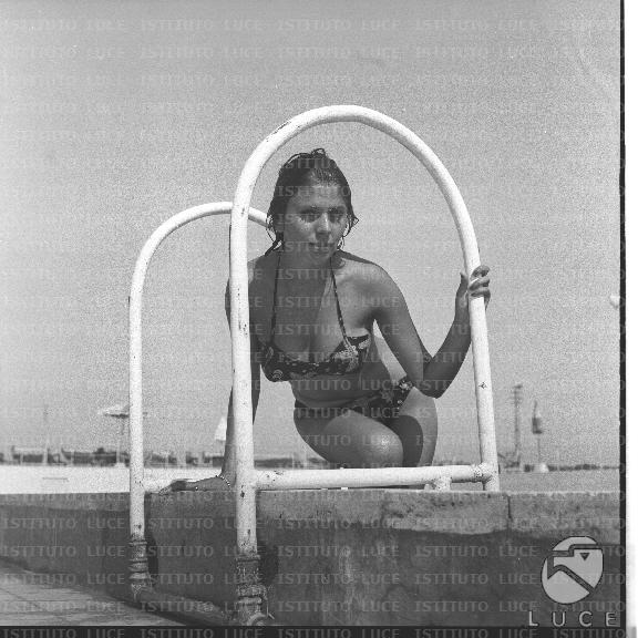 FV/NTH00701/FV00152599.JPG