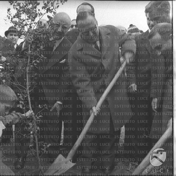 FV/NTH00708/FV00154181.JPG