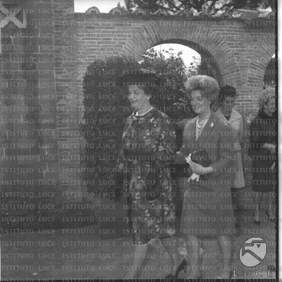 FV/NTH00714/FV00155391.JPG