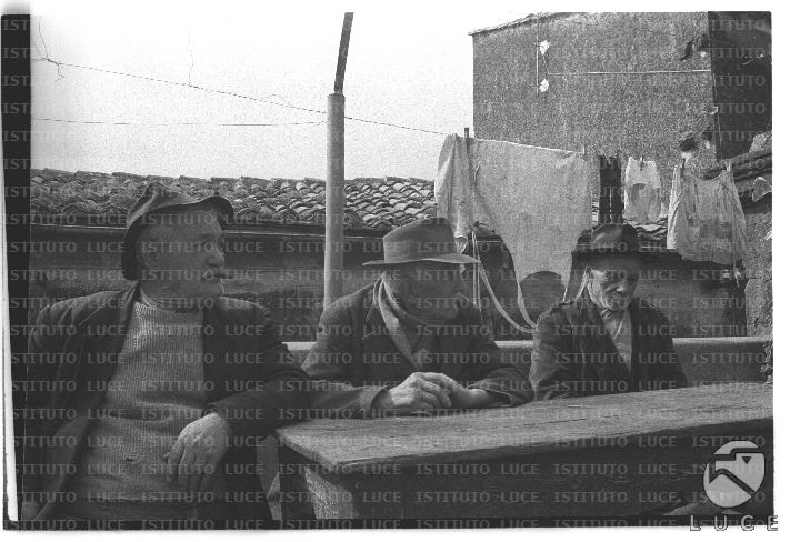 FV/NTH00716/FV00155677.JPG