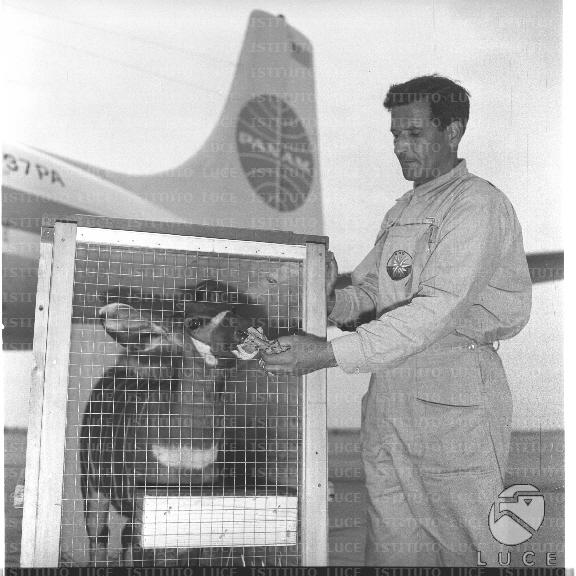 FV/NTH00721/FV00156896.JPG