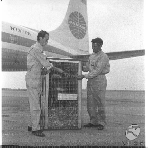 FV/NTH00722/FV00156910.JPG