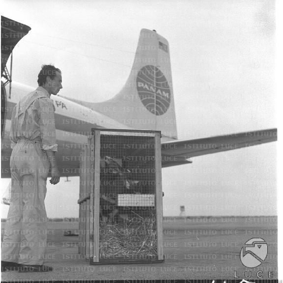 FV/NTH00722/FV00156926.JPG