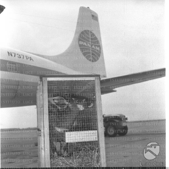 FV/NTH00722/FV00156932.JPG