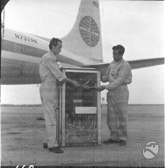 FV/NTH00722/FV00156943.JPG