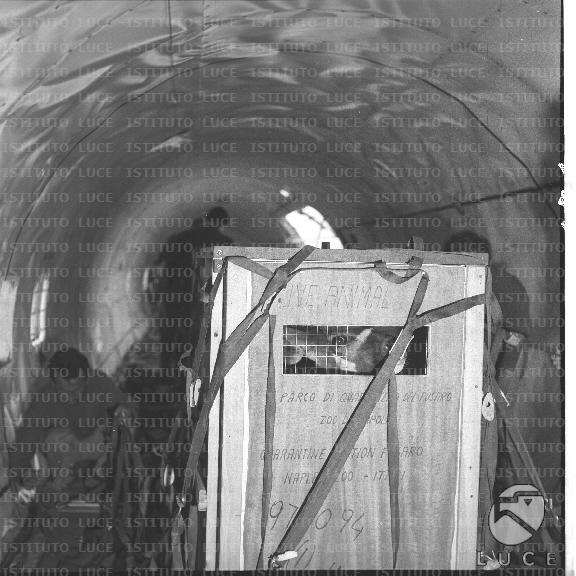 FV/NTH00722/FV00156955.JPG