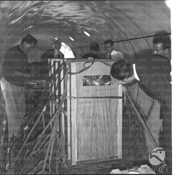 FV/NTH00722/FV00156963.JPG