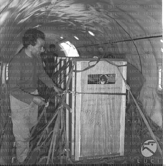 FV/NTH00722/FV00156965.JPG