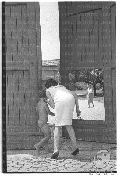 FV/NTH00724/FV00157328.JPG