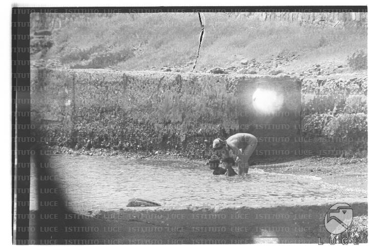 FV/NTH00729/FV00158436.JPG FV/NTH00729/FV00158436.JPG