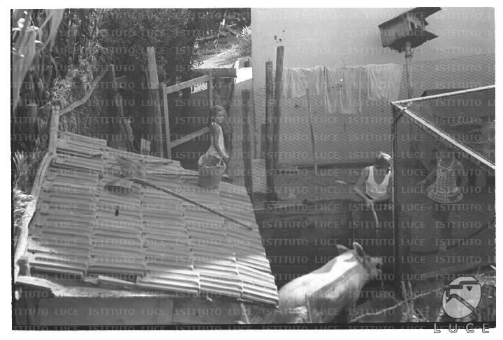 FV/NTH00732/FV00159044.JPG