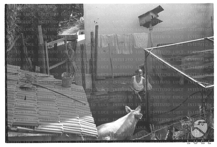 FV/NTH00732/FV00159045.JPG