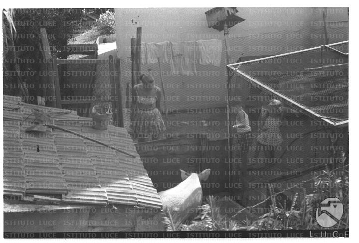 FV/NTH00732/FV00159136.JPG