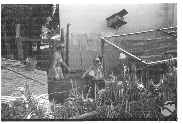 FV/NTH00733/FV00159155.JPG