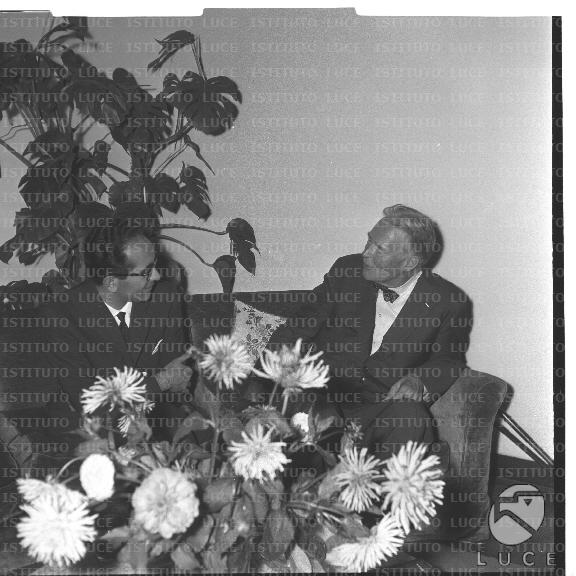 FV/NTH00733/FV00159294.JPG