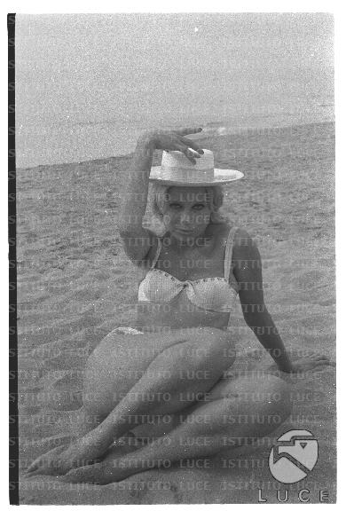 FV/NTH00735/FV00159584.JPG