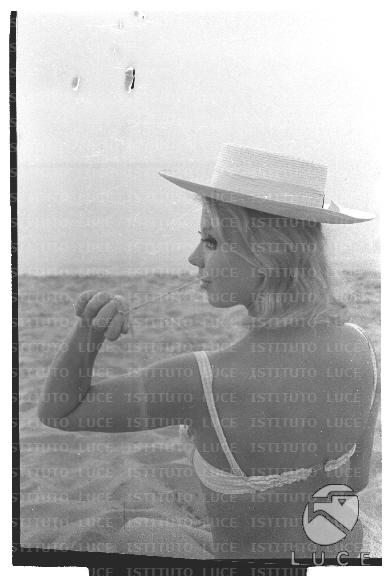 FV/NTH00736/FV00159761.JPG