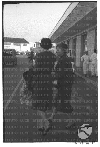 FV/NTH00738/FV00160173.JPG