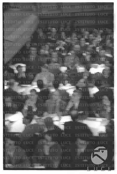 FV/NTH00739/FV00160541.JPG